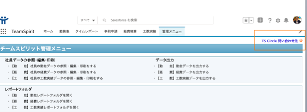 salesforce teamspirit salesforce teamspirit